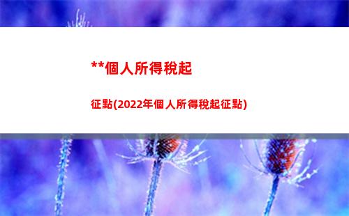 解約個人所得稅