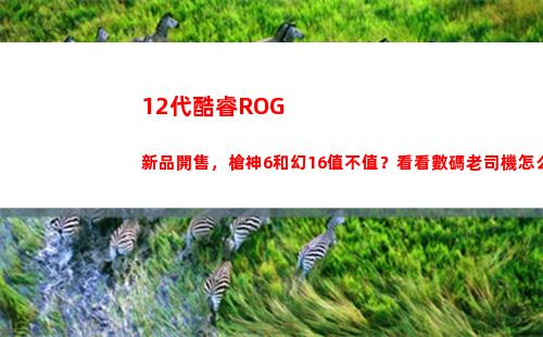 2代酷睿ROG新品開售，槍神6和幻16值不值？看看數碼老司機怎么說(12代酷睿和6代銳龍哪個好)"