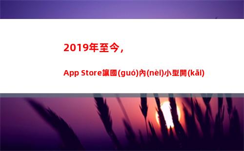 019年至今，App