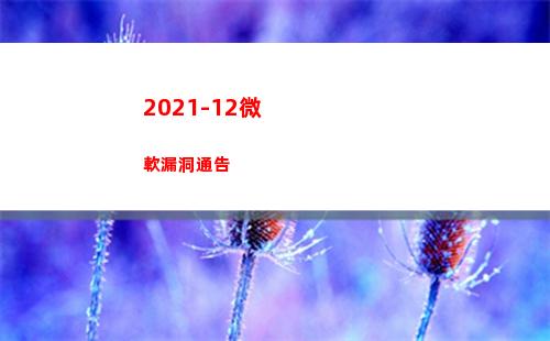 2021-12微軟漏洞通告(2021年微課大賽)插圖2