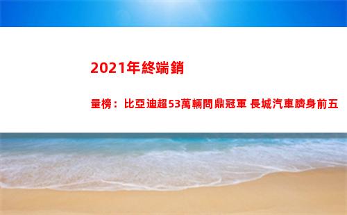 021年終端銷量榜：比亞迪超53萬輛問鼎冠軍
