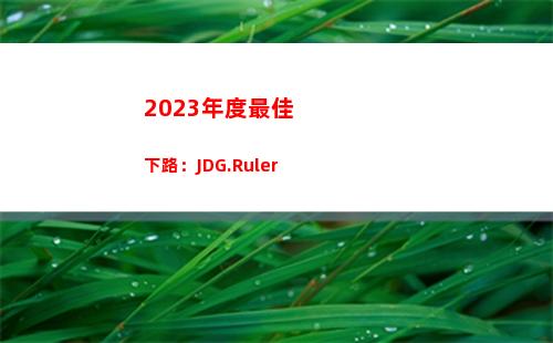 023年度最佳下路：JDG.Ruler"