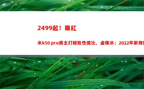 2499起！曝紅米k50 pro將主打極了性價比，盧偉冰：2022年新焊門員