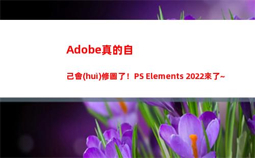 Adobe真的自己會(huì)修圖了！PS Elements 2022來了~超多新功能率先體驗(yàn)