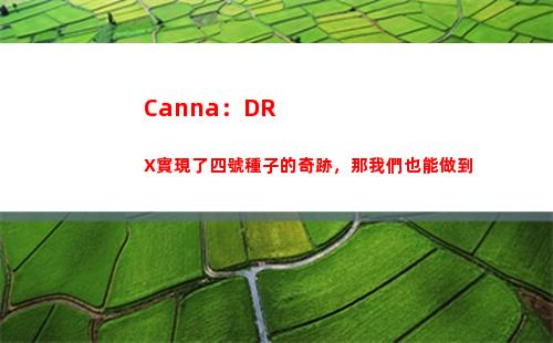 Canna：DRX實現了四號種子的奇跡，那我們也能做到