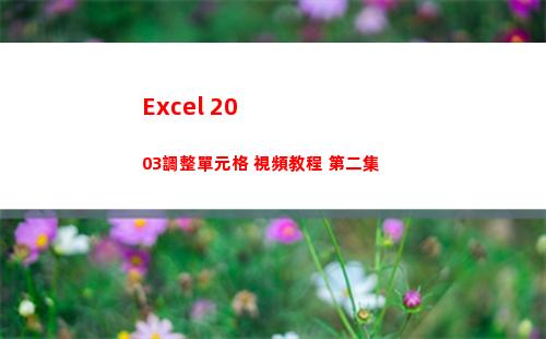 Excel 2003調整單元格 視頻教程 第二集