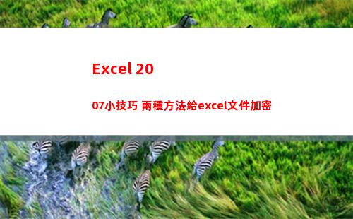 Excel 2007小技巧 兩種方法給excel文件加密