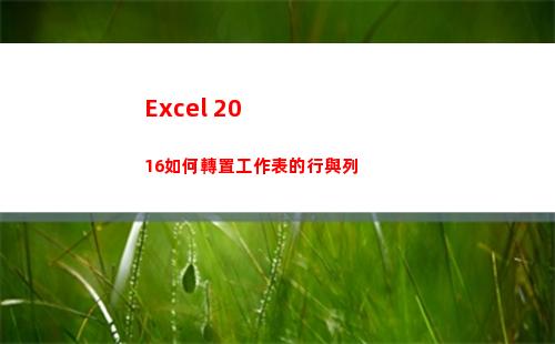 Excel 2016如何轉置工作表的行與列