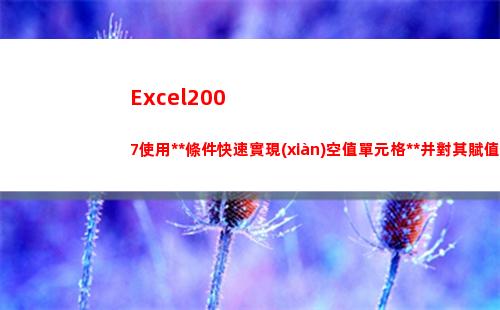 Excel2007使用定位條件快速實現(xiàn)空值單元格定位并對其賦值(excel2003擴展名是什么)