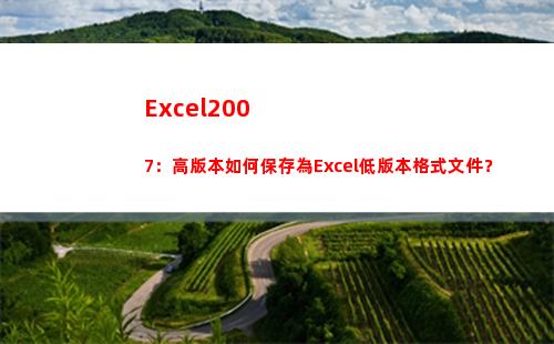 Excel2007：高版本如何保存為Excel低版本格式文件？(excel2007)