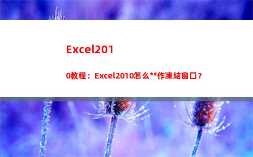Excel2010教程：Excel2010怎么操作凍結窗口？(excel2010設置單元格格式對話框)