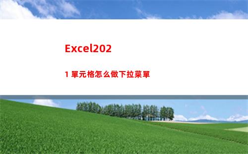 Excel2021 單元格怎么做下拉菜單(excel2020)