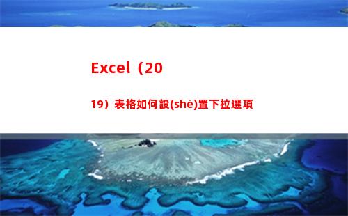 Excel（2019）表格如何設(shè)置下拉選項(excel2016)