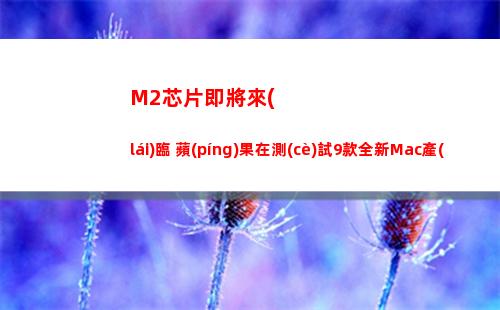 M2芯片即將來(lái)臨 蘋(píng)果在測(cè)試9款全新Mac產(chǎn)品(人體芯片時(shí)代即將來(lái)臨)