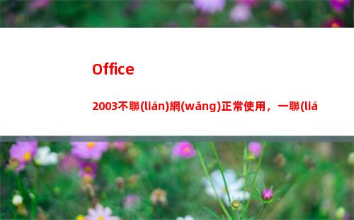 Office  2003不聯(lián)網(wǎng)正常使用，一聯(lián)網(wǎng)就報(bào)錯(cuò)何解？