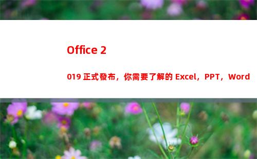 Office 2019 正式發布，你需要了解的 Excel，PPT，Word 新功能！