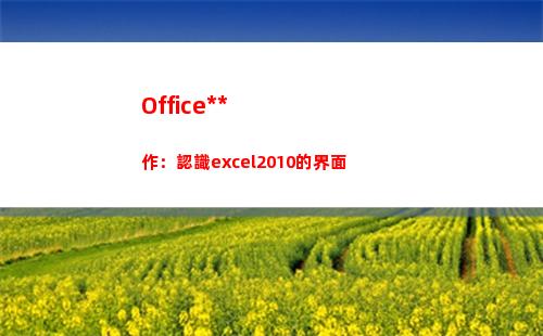 Office操作：認識excel2010的界面(惠普戰66激活office操作)