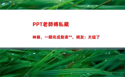 PPT老師傅私藏神器，一鍵完成動畫特效，網友：太猛了(老師傅圖片ppt)