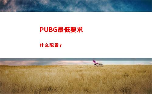 PUBG最低要求什么配置？(pubg最低人數自定義)
