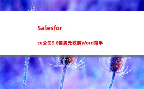 Salesforce公司5.8億美元收購Word殺手(salesforce安卓版app)