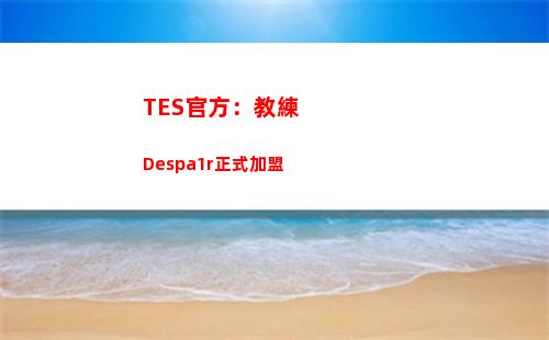 TES官方：教練Despa1r正式加盟