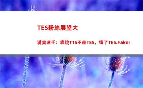 TES粉絲展望大滿貫選手：誰說T1S不是TES，懂了TES.Faker插圖