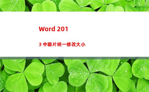 Word 2013 中圖片統一修改大小