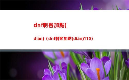 dnf刺客加點(diǎn)（dnf刺客加點(diǎn)110）