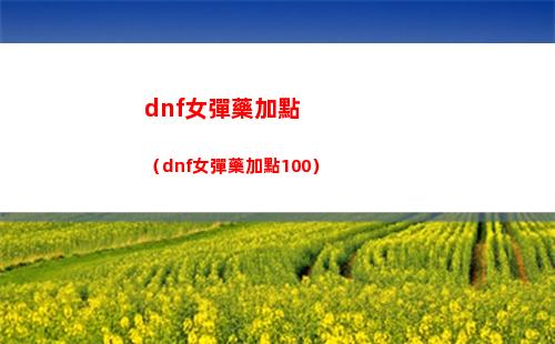 dnf女彈藥加點（dnf女彈藥加點100）