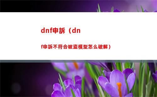 dnf申訴（dnf申訴不符合被盜模型怎么破解）