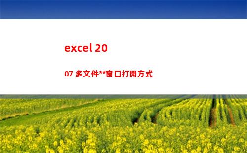 excel 2007 多文件獨立窗口打開方式