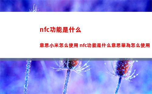 白夜極光5星角色排行榜分享