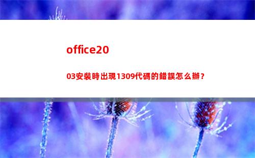 office2003安裝時出現1309代碼的錯誤怎么辦？(office2019)