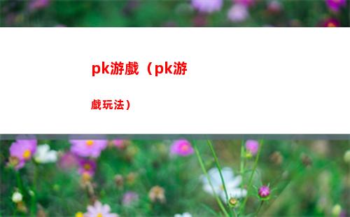 pk游戲（pk游戲玩法）