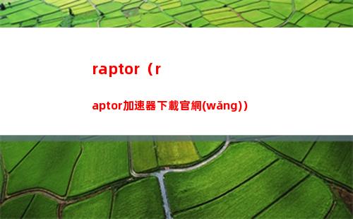 raptor（raptor加速器下載官網(wǎng)）