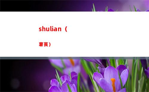 寶可夢朱紫攻擊努力值在哪刷最好