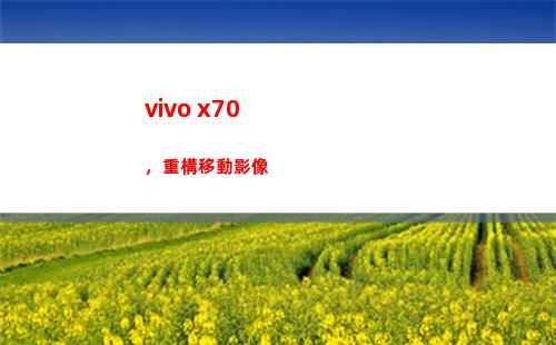 vivo x70，重構挪動影像