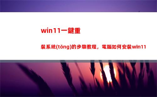 win11一鍵重裝系統(tǒng)的步驟教程，電腦如何安裝win11(win11一鍵安裝)