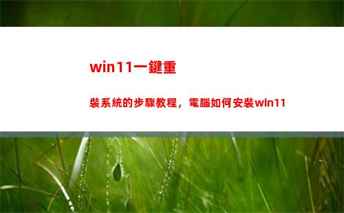 win11一鍵重裝系統的步驟教程，電腦如何安裝win11(win11一鍵安裝)