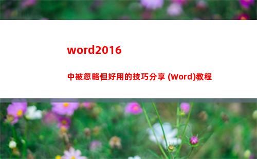 word2016中被忽略但好用的技巧分享 (Word)教程(word2016分欄最多可以分幾欄)