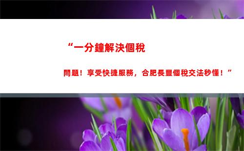 甘肅省個人所得稅(甘肅省個人所得稅客戶端下載)