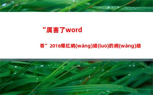 “厲害了word哥”2016爆紅網(wǎng)絡(luò)的網(wǎng)絡(luò)用語(yǔ)你知道多少？(厲害了word哥表情包)