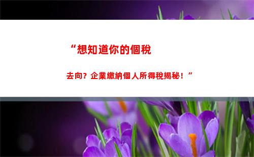 “一份杭州個人所得稅繳存證明，了解你的稅收貢獻！”