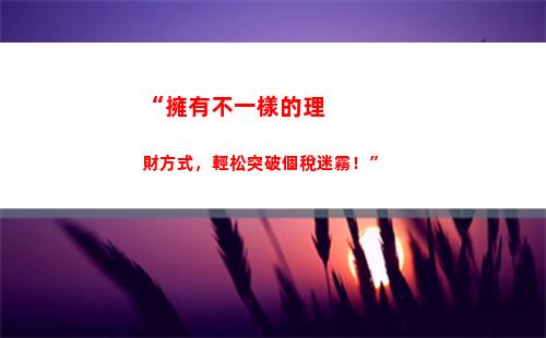 “用看稅貸，輕松貸款，實現夢想！”