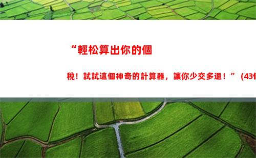 “輕松確認你的個稅情況，享受更多財務優惠！”