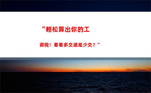 “輕松申報，智能計算，個人所得稅軟件，讓你省心省錢！”