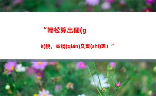 個(gè)人所得稅app有什么用(下載個(gè)人所得稅app有什么用)