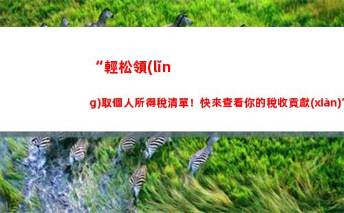 “輕松破解個人所得稅，省稅攻略來襲！”