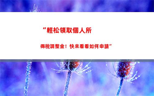 “輕松省錢又安心！個稅密碼設置教程，一鍵掌握！”