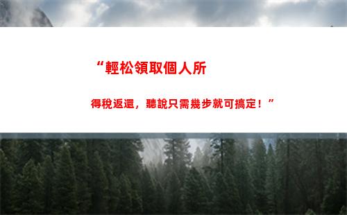 個人所得稅218(個人所得稅210是什么意思)